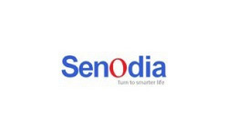 Senodia